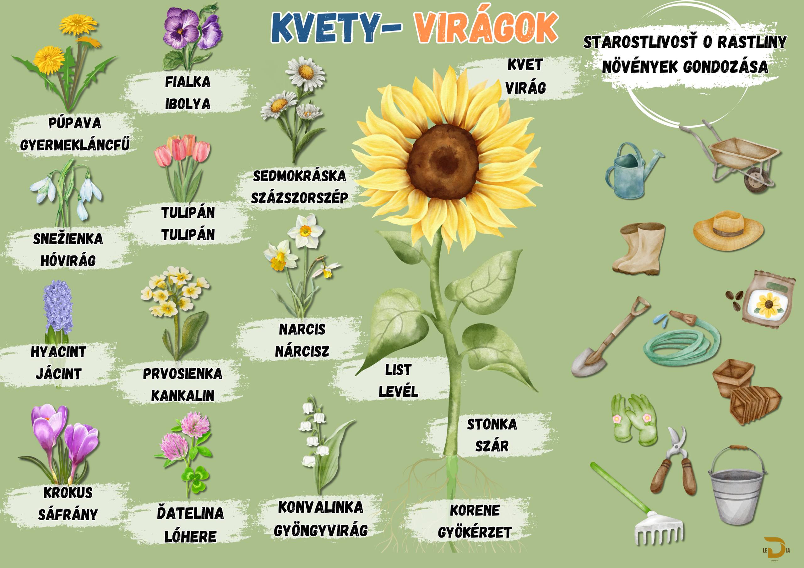 Tabuľka 45