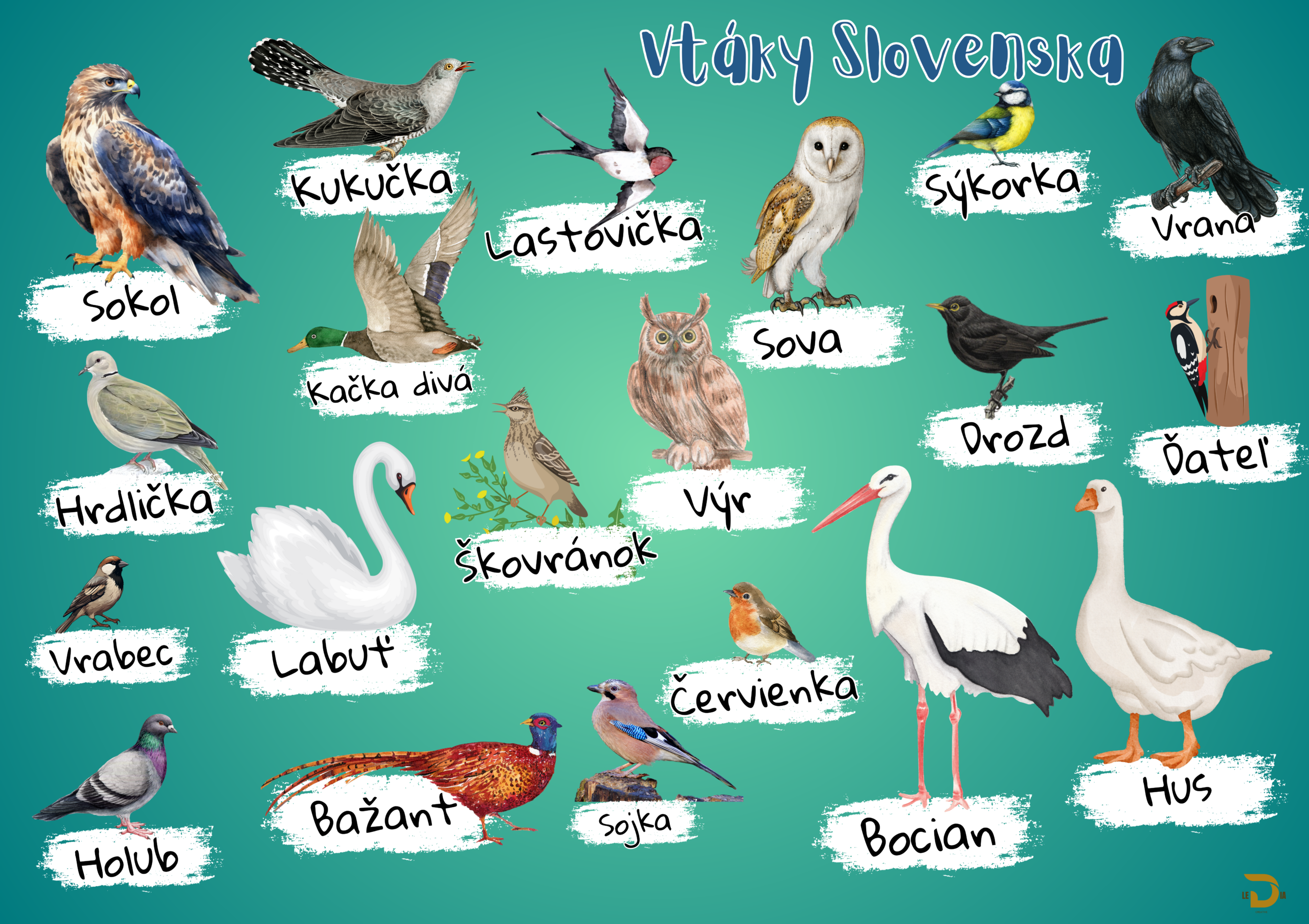 Tabuľka 58