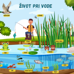 Tabuľka 31